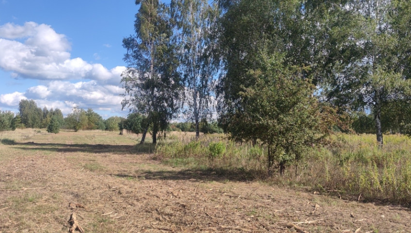 Działka Sprzedaż Borzęcin Mały